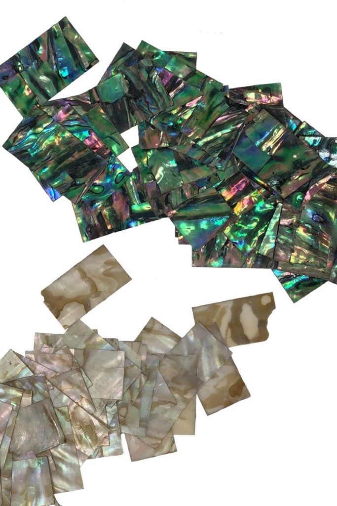 Buppy Jam Shells Project Scope: Laser Cutting