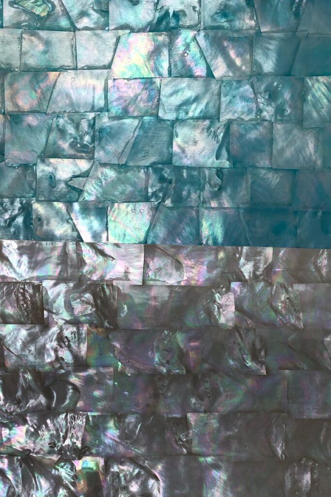 Buppy Jam Shells Project Scope: Laser Cutting